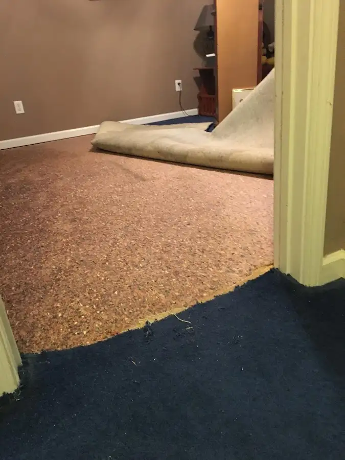 Carpet pad removal revealing water damage during Drying & Dehumidification in Forest City