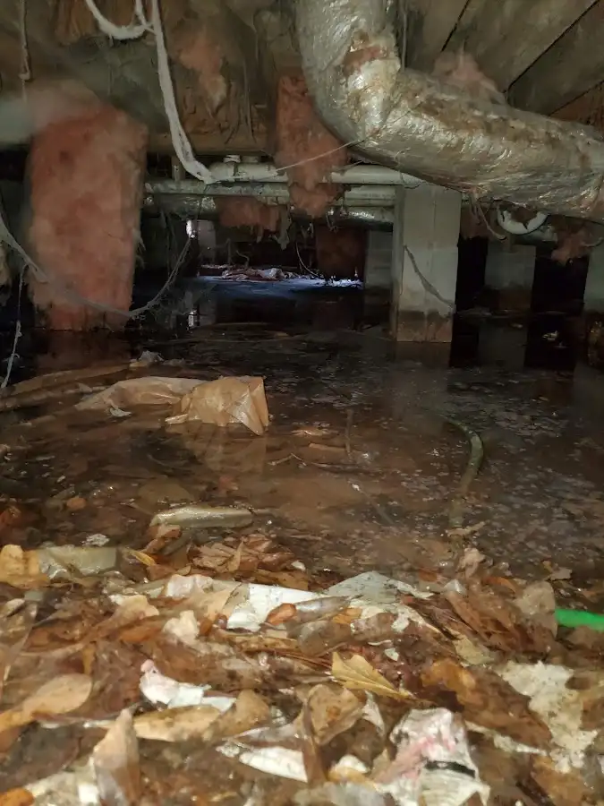 Crawl space flood assessment for Leak Detection & Repair in Forest City